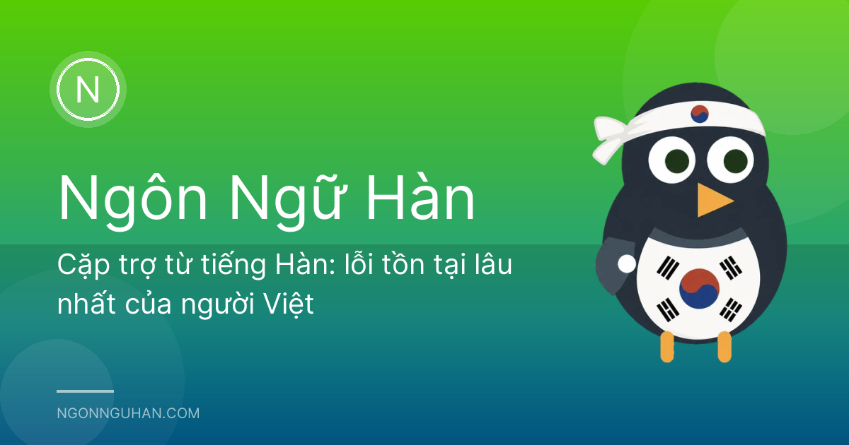 Cặp trợ từ tiếng Hàn: lỗi tồn tại lâu nhất của người Việt